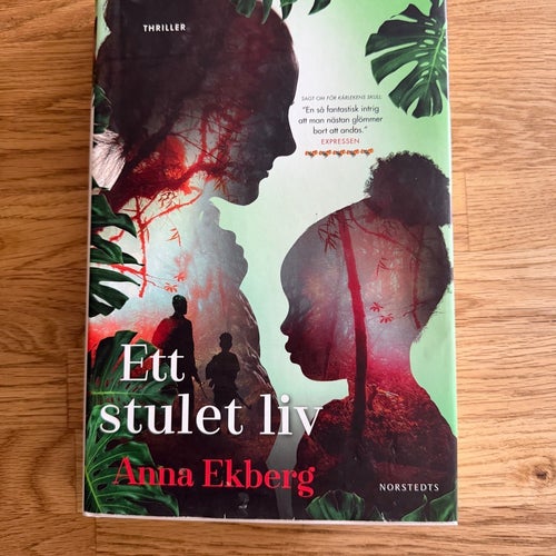 Ett stulet liv av Anna Ekberg, 2019