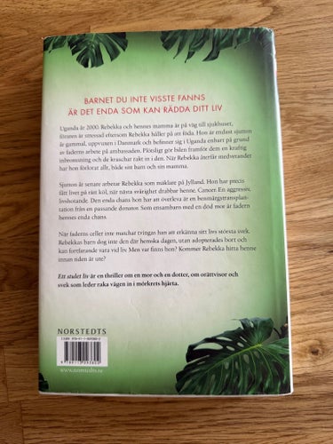 Ett stulet liv av Anna Ekberg, 2019