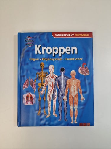 NGV - Kroppen: Organ, organsystem, funktioner