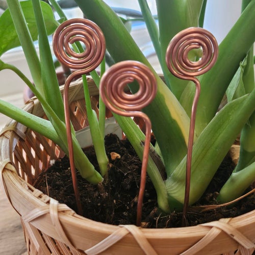 Blomdekoration / plantdekoration