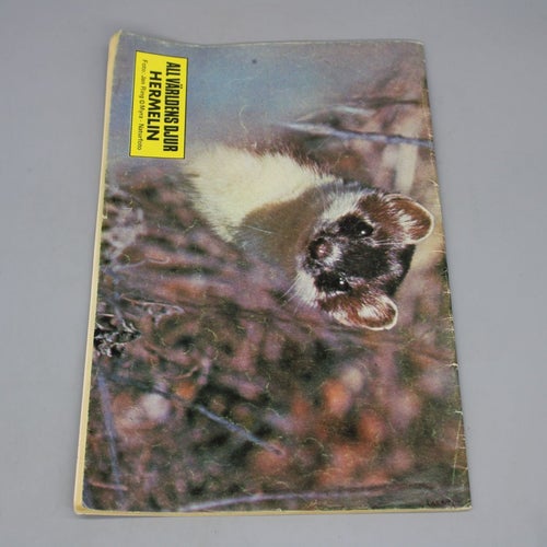 Lassie Nr 8 1981