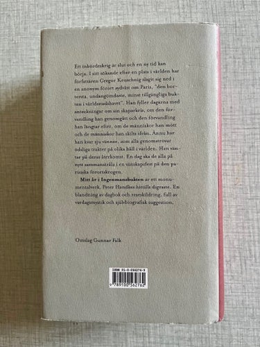 Mitt år i Ingenmansbukten - Peter Handke
