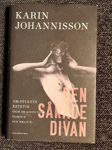 Skönlitterärt ’Den sårade divan’