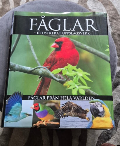 Fåglar - Illustrerat Uppslagsverk