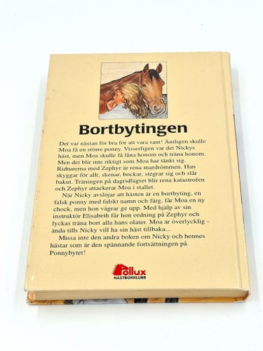 Bortbytingen av Pamela Kavanagh, 1990