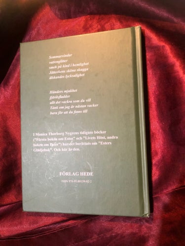 Esters Glädjebok av Monica Thorborg Nygren