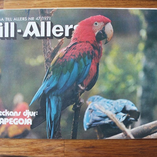 Lill-Allers bilagan veckotidning 1971 nr 47