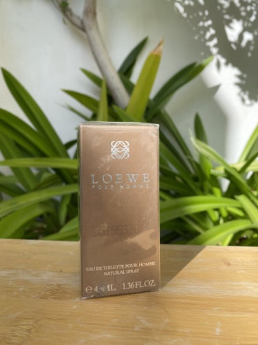 Loewe Pour Homme Eau de Toilette 40ml