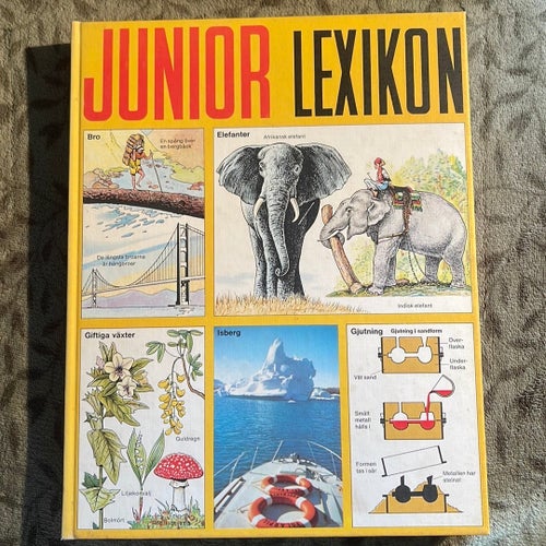 Junior Lexikon rikt illustrerad