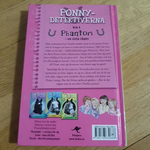 Ponny-Detektiverna: Phantom - en sista chans av Belinda Rapley