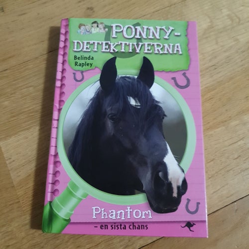 Ponny-Detektiverna: Phantom - en sista chans av Belinda Rapley