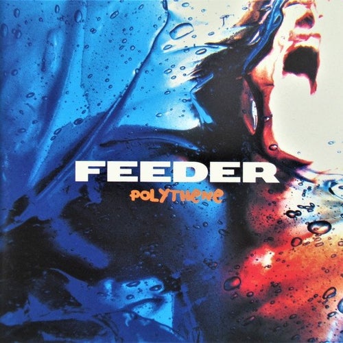 Feeder - Polythene