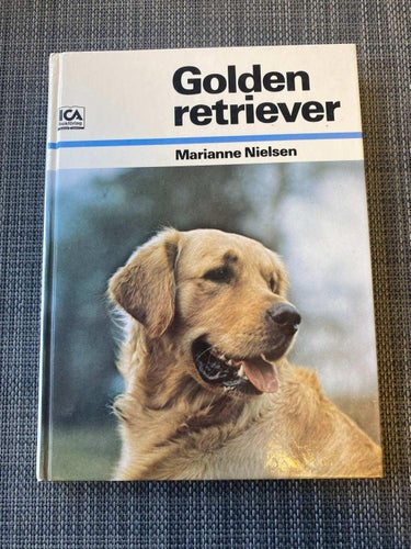 Marianne Nilsson - Golden Retriever