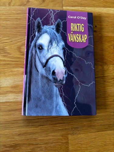 Riktig vänskap - Carol O’day