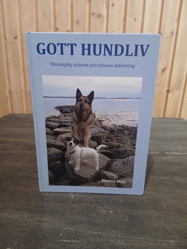 Gott hundliv: Vänskaplig relation och trivsam aktivering