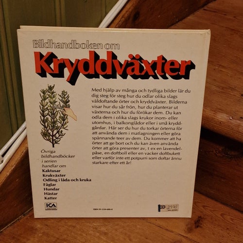 Bildhandbok om Kryddväxter ICA bokförlag 1980