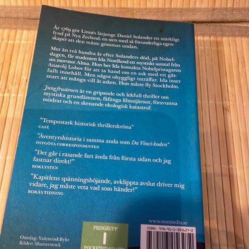 Jungfrustenen -Michael Mortimer - äventyrshistoria/thriller/ pocket