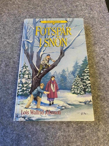 Lois Walfrid Johnson - Fotspår i snön - Äventyr på Windy Hill 4