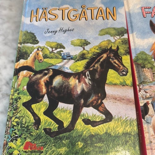 Hästgåtan av Jenny Hughes