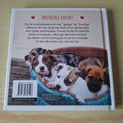 Kärlek är en hundvalp