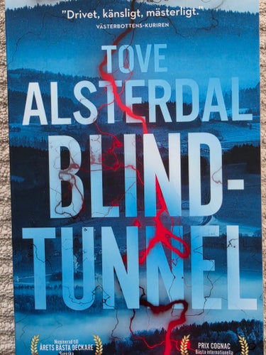 Blindtunnel - Tove Alsterdal - pocket