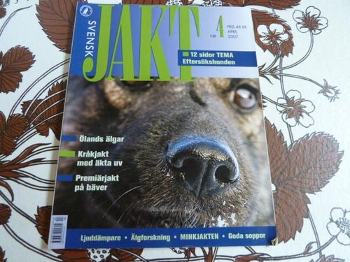 SVENSK JAKT, 2007 NR 4, EFTERSÖKSHUNDEN, TIDNING