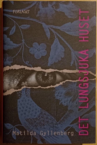 Det lungsjuka huset / Matilda Gyllenberg