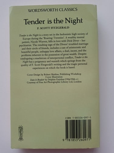 Tender is the Night av F. Scott Fitzgerald