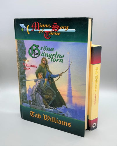 Minne, sorg & törne bok 3: Gröna ängelns torn 1-2  av Tad Williams