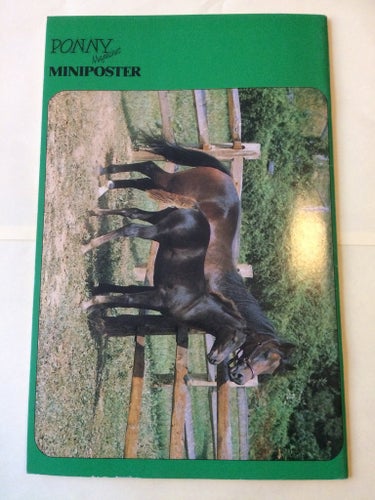 Ponny nr 1 från 1992