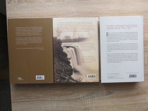 Joyce Carol Oates - 3 Böcker: Dykvinnan, Fallen, Älskade Syster