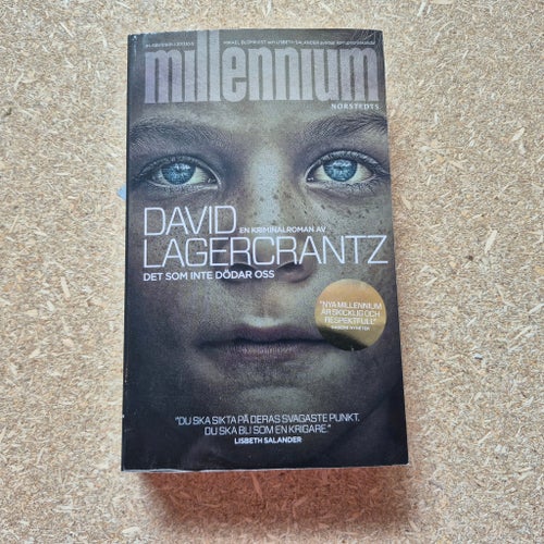 Millennium: Det som inte dödar oss av David Lagercrantz