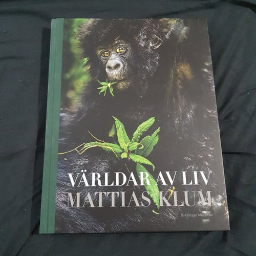 VÄRLDAR AV LIV MATTIAS KLUM 2013