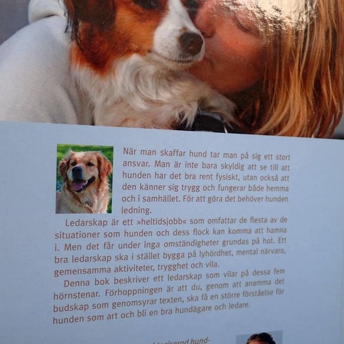 Ledarskap som din hund förstår . Charlotte Swanstein