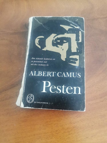 Pesten camus