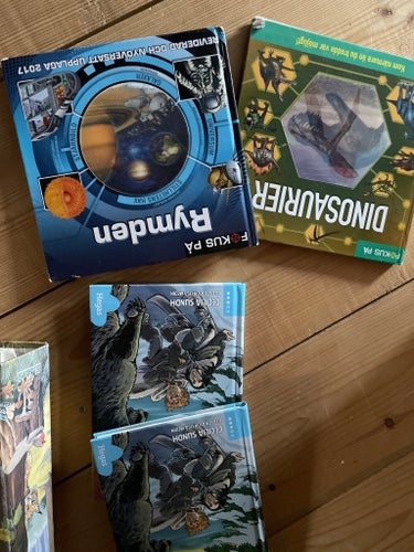 Bokpaket med barnböcker: Äventyrsskogen, Fredagsmys!, Däggdjur m.fl.
