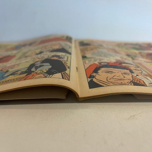 Illustrerade Klassiker Nr 30
