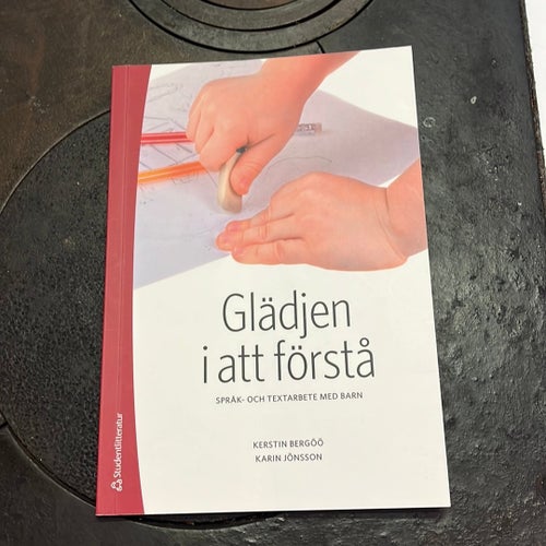 Glädjen i att förstå av Kerstin Bergöö, Karin Jönsson