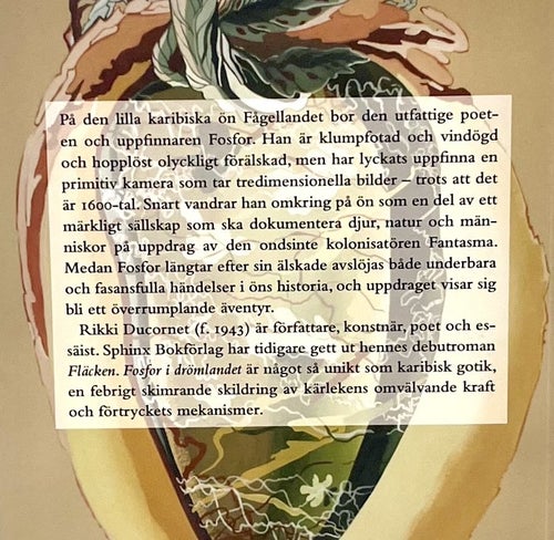 Fosfor i drömlandet - Rikki Ducornet