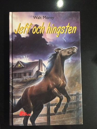 Walt Morey - Jeff och hingsten - Pollux Hästbokklubb