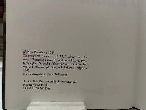 Sällsamheter i Lund av Nils Palmborg, bok, Very Fine plus