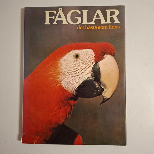 Fåglar : det bästa som finns