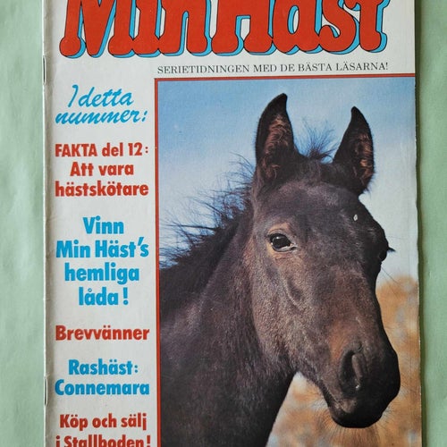 Min häst nr 23 från 1981
