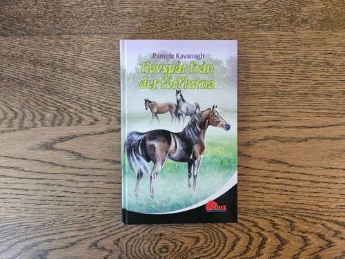 Hovspår från det förflutna - Pamela Kavanagh - Pollux