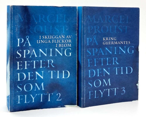 På spaning efter den tid som flytt del 2-3 av Marcel Proust (häftade)
