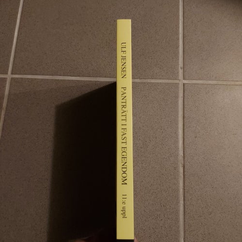 Panträtt i fast egendom av Ulf Jensen