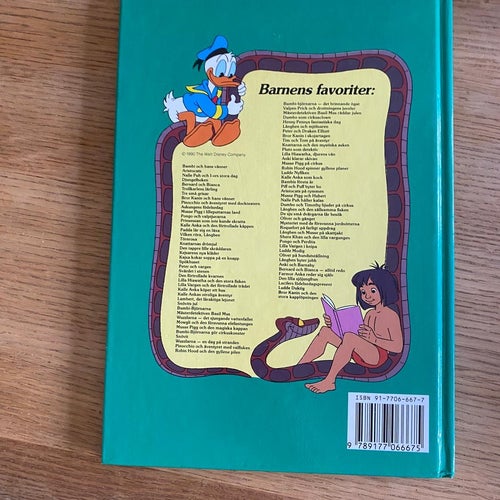 Bror kanin och den stora kapplöpningen, barnbok