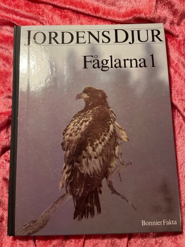 Jordens Djur Fåglarna 1