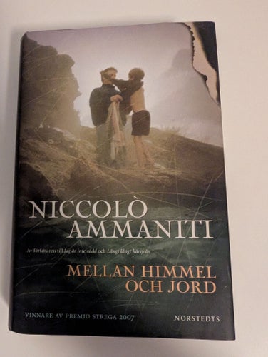 Mellan himmel och jord av Niccolò Ammaniti, 2007