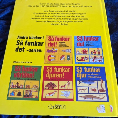 Hur funkar det? av Lesley Firth, 1980